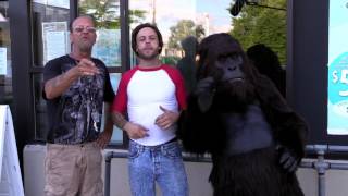 Psh Gorilla Commercial Psh Gorilla Commercial