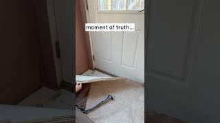 Checking Under My New Carpet For Mold 😬