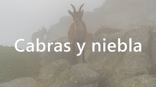 ⛰️ 🥾 SENDERISMO MADRID - RUTA DE 2 DIAS 🗺️ Etapa 1: Barrera de la Pedriza a Navacerrada