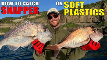 How to Catch Snapper on Soft Plastics with Daniel Hutchinson