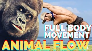 Full body Movement Animal flow  Warm Up for Beginners (Follow along)