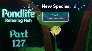 🐟 Pondlife - Relaxing Fish Game Walkthrough Part 127 | Mobile Gameplay (Android/iOS)