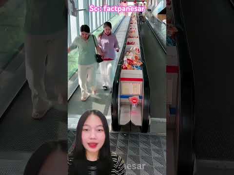 Naik eskalat0r siapa salah⁉️ factpanesar