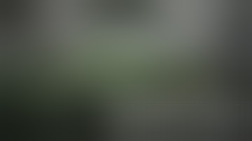 In The Flow | Fohse A3i’s Power Over HPS | Cultivation Highlight