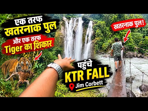 Tiger का शिकार और सामने खतरनाक पुल! 😱 | KTR Waterfall Adventure