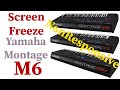 Yamaha Montage M6 Screen Freeze - Non Responsive Screen