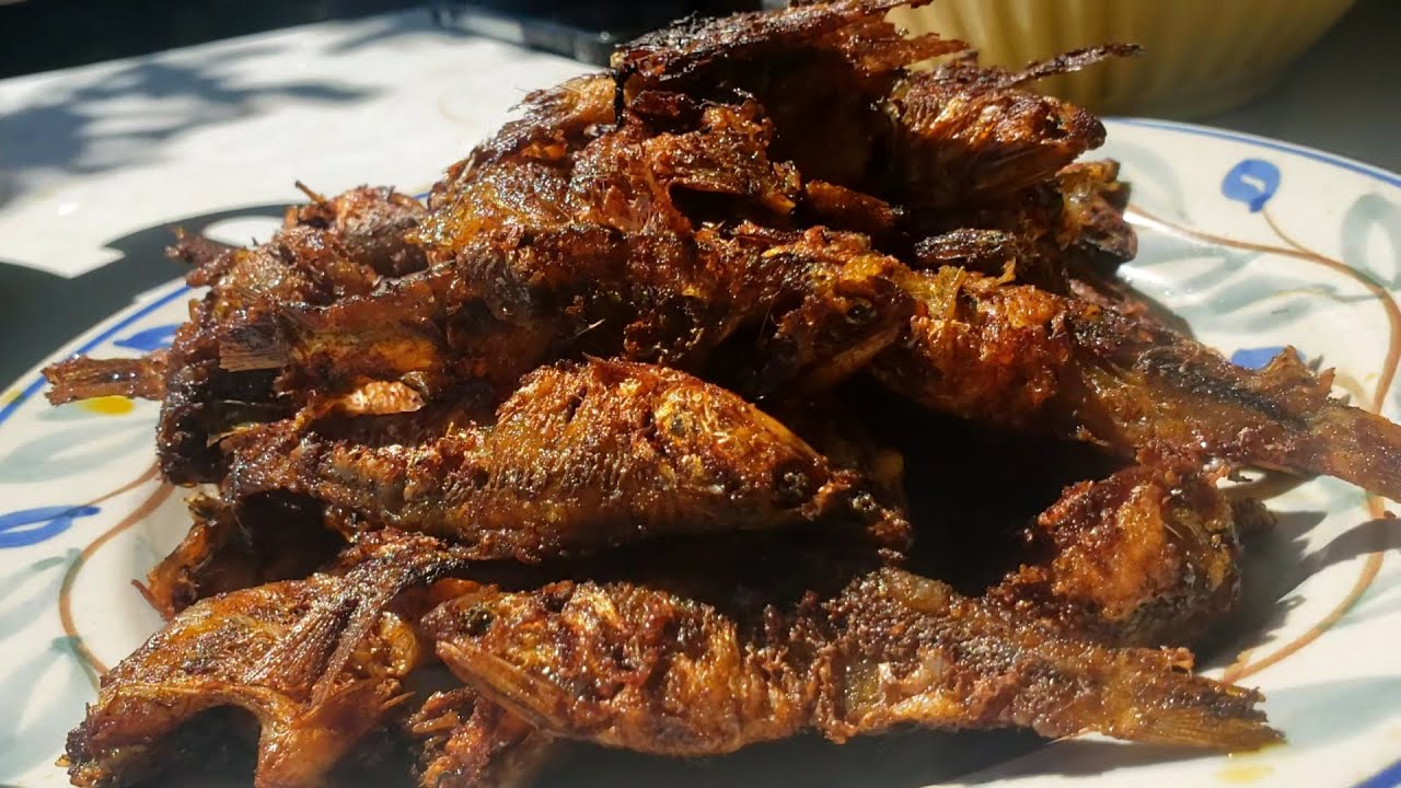 Sardinas frescas al disco