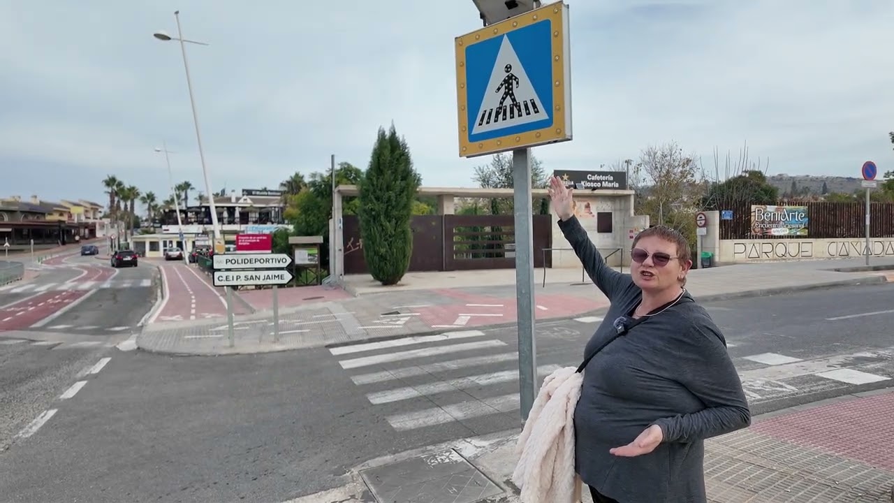 КАК НЕ СЛЕДУЕТ ПЕРЕХОДИТЬ ДОРОГУ