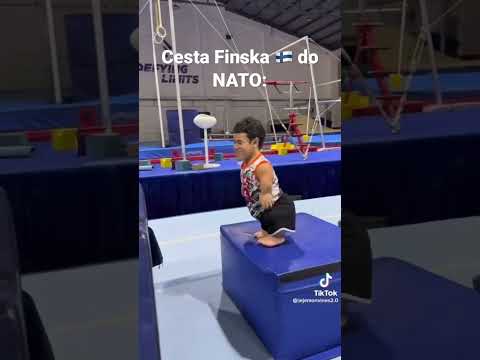Cesta Finska do NATO!
