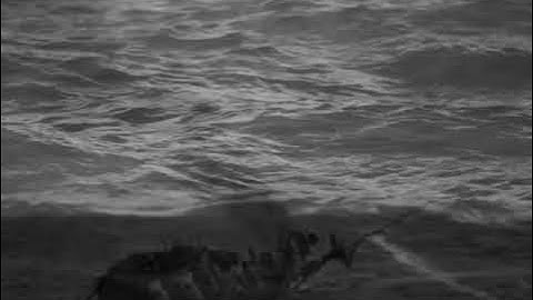 Sinking ship - Synthstrom Deluge