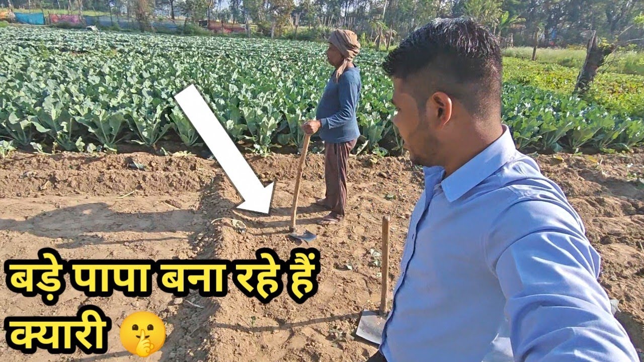 बड़े पापा बना रहे हैं क्यारी 🌱 | प्याज, गोभी, परवल | पूरा देसी खेत व्लॉग #villagelife 