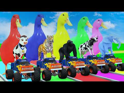 Long Slide Game With Cow Elephant Gorilla Hippopotamus Tiger 3d Animal Game Funny 3d Animals