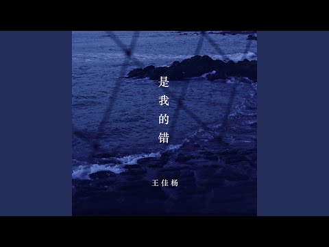 是我的错 (DJ阿卓版)