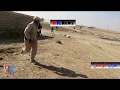 غرب الموصل لواء علي الاكبر الابطال من الحشد الشعبي المقدس لحظات حيدرية شارك المنشور غرب الموصل لواء علي الاكبر الابطال من الحشد الشعبي المقدس لحظات حيدرية شارك المنشور