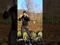 Per un #orto migliore il confronto Ã¨ fondamentale #mattthefarmer #ortoinvernale #prode