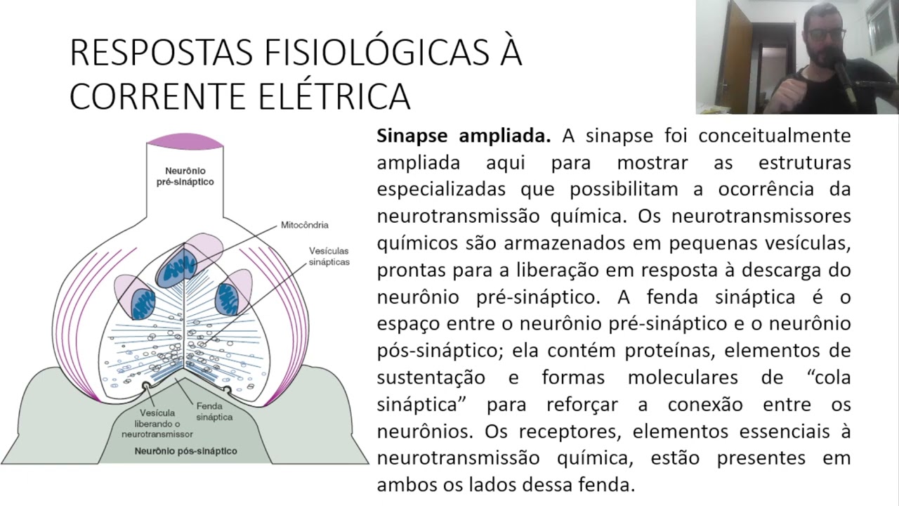 BIOFÍSICA 5 RESPOSTAS FISIOLÓGICAS A CORRENTE ELÉTRICA