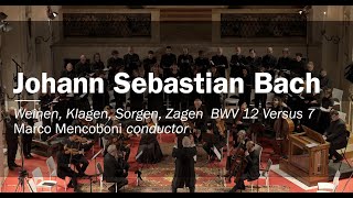 Johann Sebastian Bach Cantata BWV 12 «Weinen Klagen Sorgen Zagen» BWV 12,  Vs 7 Marco Mencoboni