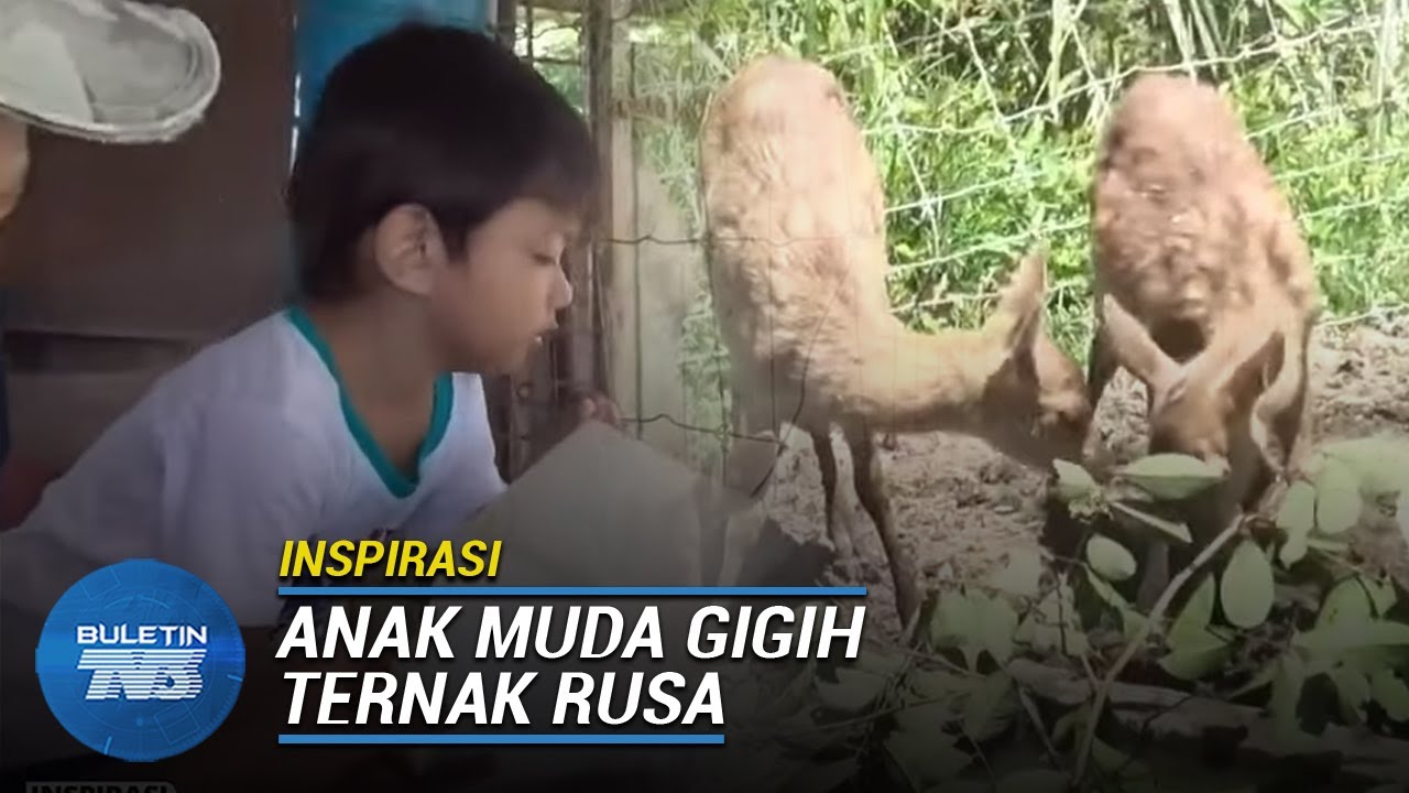 INSPIRASI | Minat Dorong Belia Ternak Rusa 