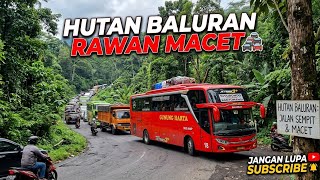 bus gunung harta lewat alas baluran macet | denpasar ke surabaya #fyp #bussid #maleo  screenshot 4