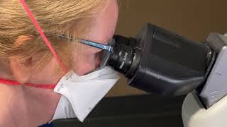 New program aims to identify lung cancers earlier that may otherwise go undetected | OSUCCC – James