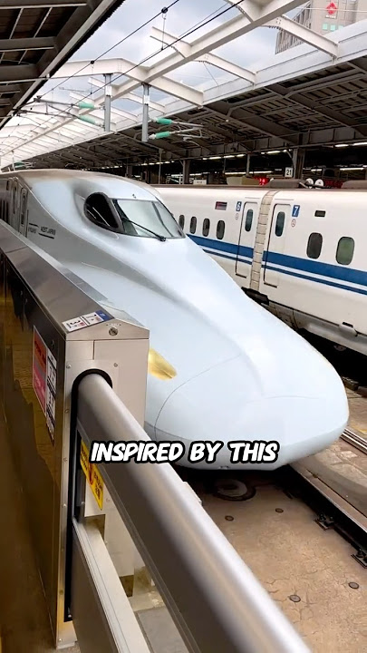 These Trains Had An Unexpected Issue?