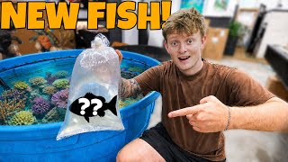 I WAS SURPRISED WITH A NEW FISH!
