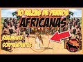 10 RAZAS DE PERROS AFRICANOS REALMENTE SORPRENDENTES