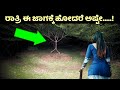 ನಿಧಿವನ ರಹಸ್ಯಗಳು | Nidhivan Secrets | Radha Krishna Love Story | ರಾಧಾ - ಕೃಷ್ಣ ಪ್ರೇಮದ ಸಂಕೇತ