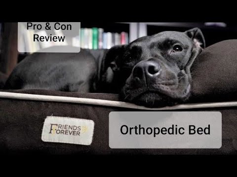 best-dog-bed?-friends-forever-orthopedic-memory-foam-dog-bed-review