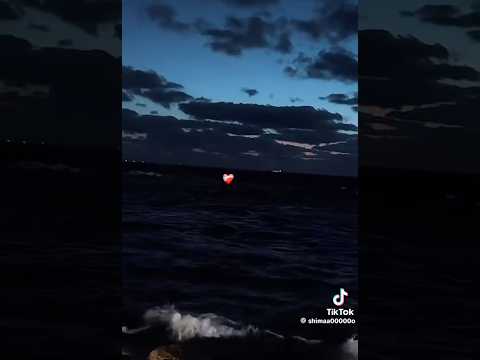 تعبتني الدنيا كتير سرقت قلبي وايامي