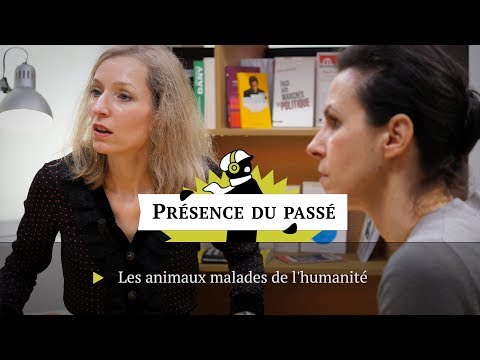 Vidéo: Les Porcs Ressemblent Tellement Aux Humains - Vue Alternative