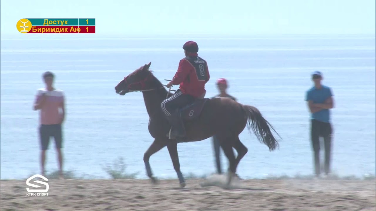 Көк бөрү Достук-Биримдик Аю