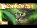 15 hours of ad free relaxing music for cats  