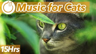 15 HOURS of AD FREE Relaxing Music for Cats 🐱 💤