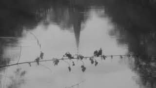 Ancient Loops - The House by the Churchyard