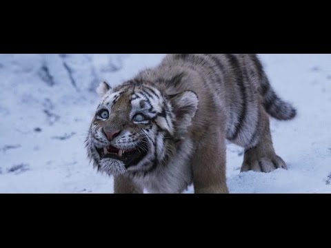 Кадры из фильма Белки в деле