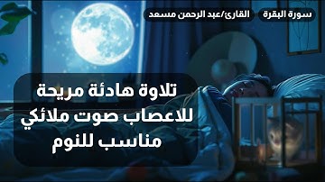 تلاوة هادئة بصوت ملائكي مريح للأعصاب مناسب للنوم💜🎙️  |  ساعتين متواصلة🕛🎧  |  ارح قلبك💜 وسمعك😌🎧  |
