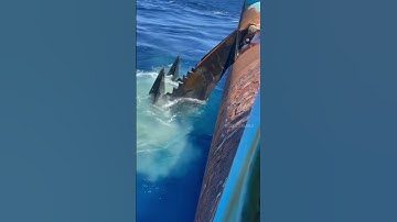 জাহাজের সবচেয়ে বিপজ্জনক কাজ 😱