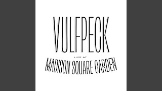 Video thumbnail of "Vulfpeck - The Sweet Science (Live at Madison Square Garden)"