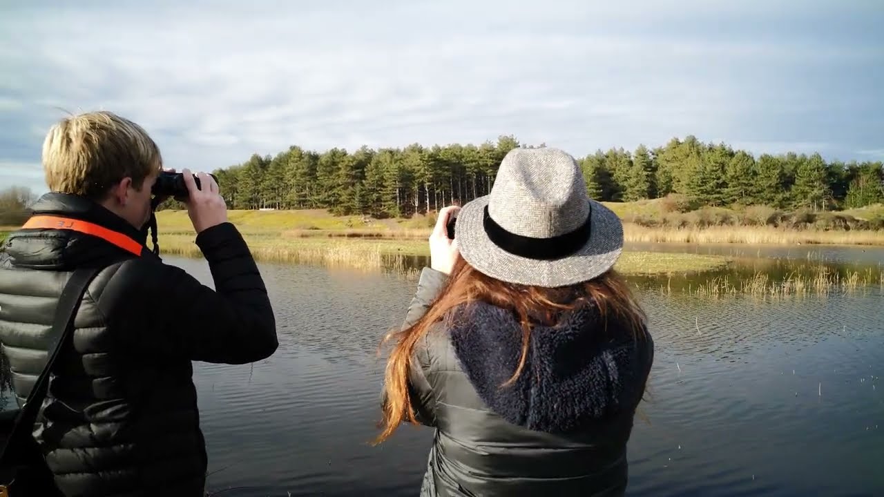 Le Parc du Marquenterre