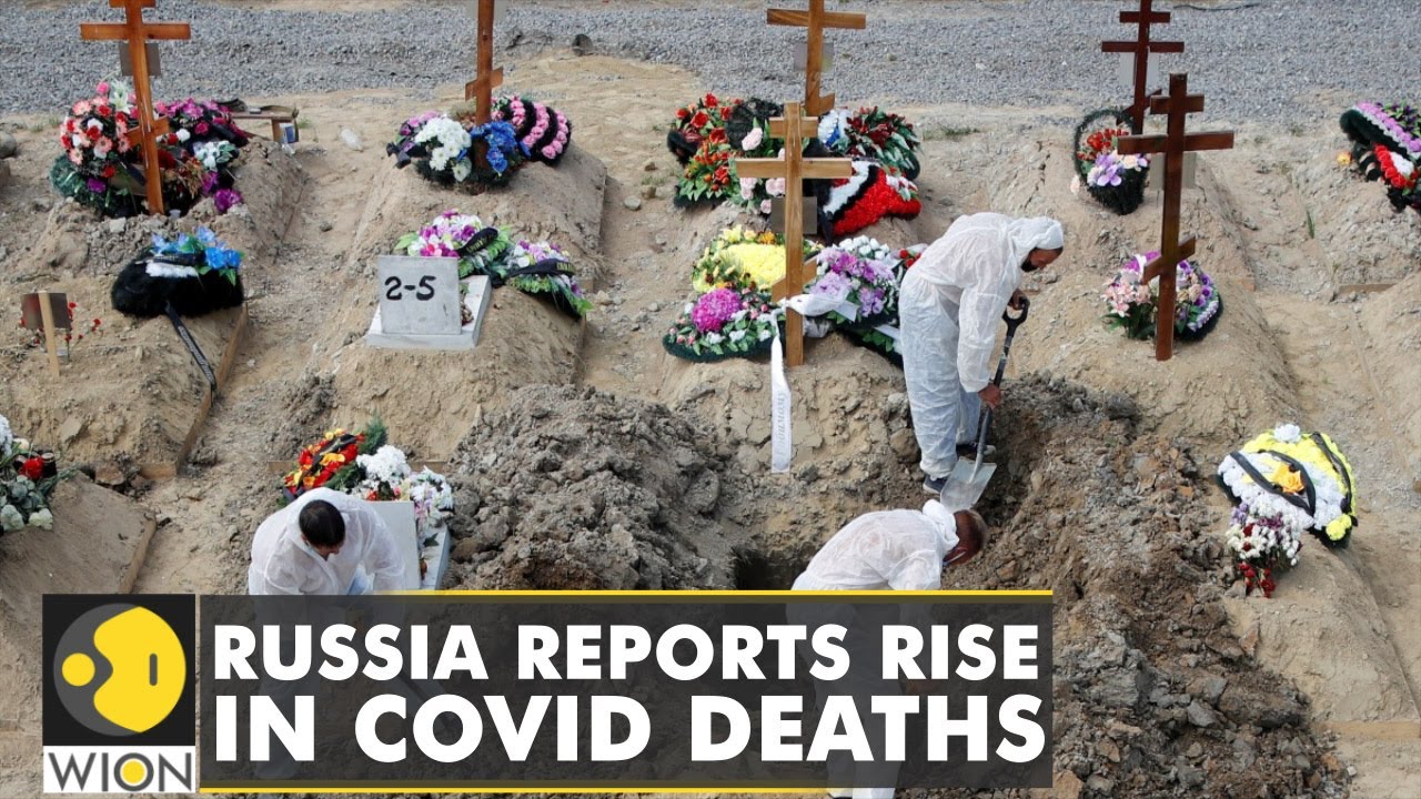 Russia reports record-high COVID-19 deaths, 60% rise in cases in a month | Coronavirus |English News