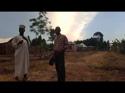 Usimzarau Usiye Mjua Ona Sasa