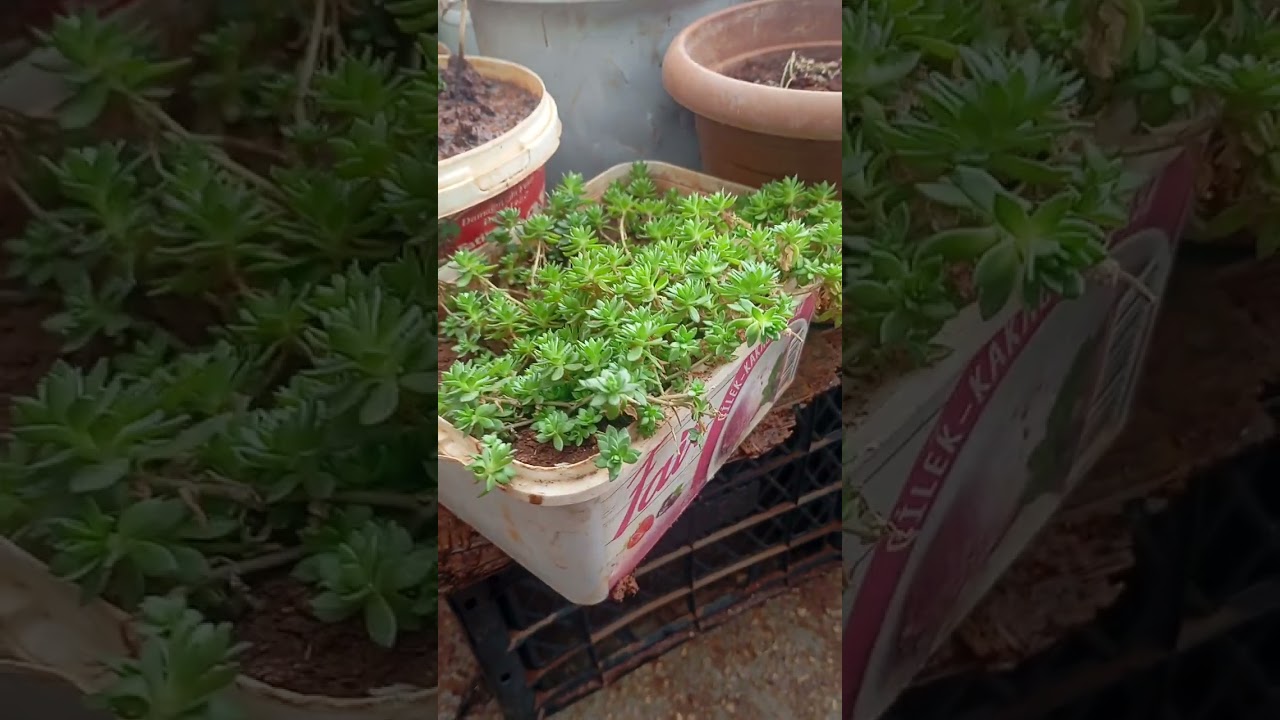 ١٥ فبراير ٢٠٢٦