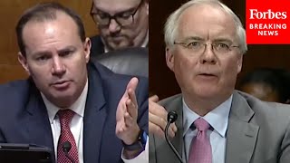 'Does That Undercut The Justification?': Mike Lee Questions Kroger CEO About A Potential Merger