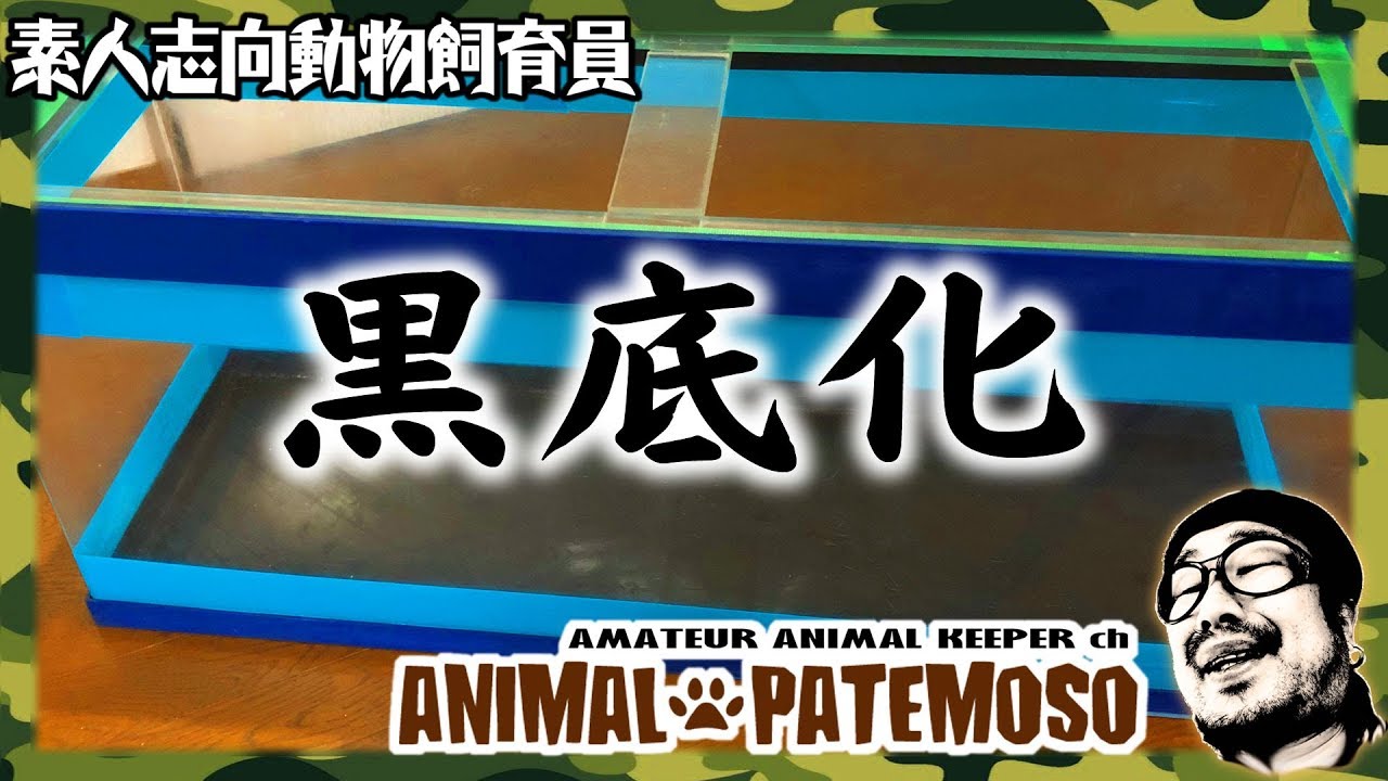 アニマル工作】水槽を黒底化する！！【アクリル水槽】【熱帯魚】 - YouTube
