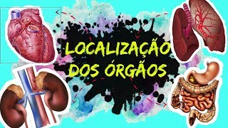 Corpo órgãos localizados no