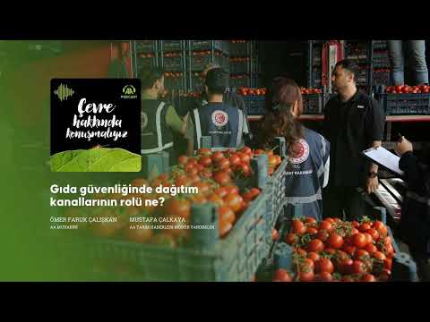 What is the role of distribution channels in food security?