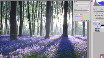 David Clapp Webinar / Colour Management & Soft Proofing