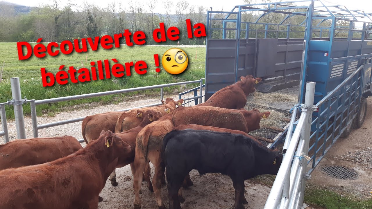 QUIRALU - FERME - BETAILLERE AVEC CHEVAL