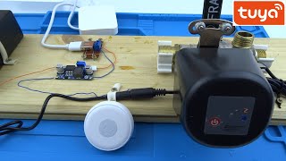 Система защиты от протечки воды в умном доме Tuya Smart ZigBee 3.0 умный кран  с Алисой и ИБП UPS